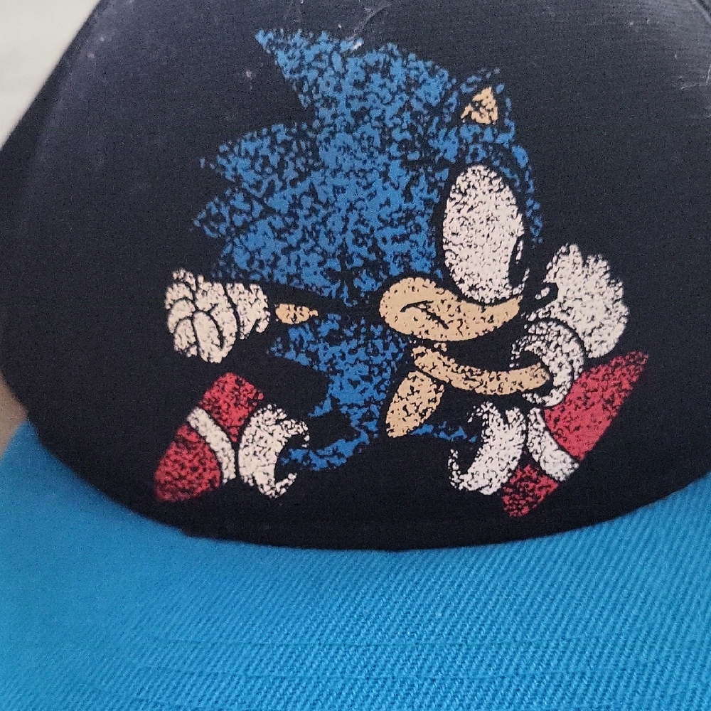 Sonic the Hedgehog Blue and Black Cap